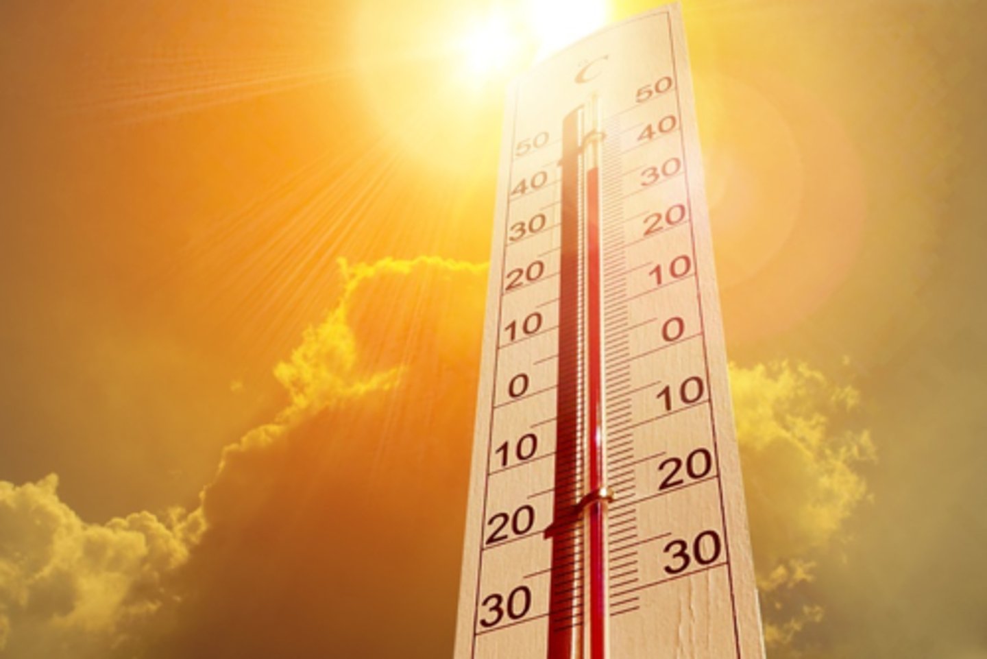 <p>a period of extremely hot weather</p>