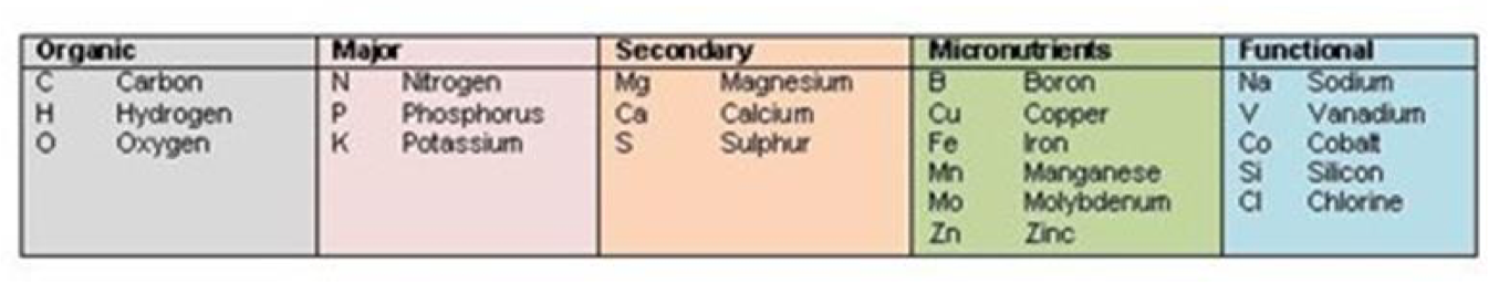 evolving, new concept includes functional nutrients