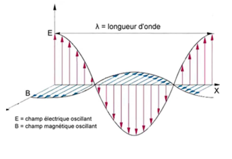 <p>X et gamma c’est la même chose : C’est<strong> l’oscillation dans la même direction et sur des plans perpendiculaires d’un champ électrique et d’un champ magnétique.</strong></p><p>Selon la théorie de rayonnement corpuscule (dualité onde-corpuscule), on peut associer une particule ou un corpuscule à un rayonnement électromagnétique ici le <strong><u>photon</u></strong>. Le photon est donc le <u>vecteur</u> de ces rayonnements électromagnétiques.</p>