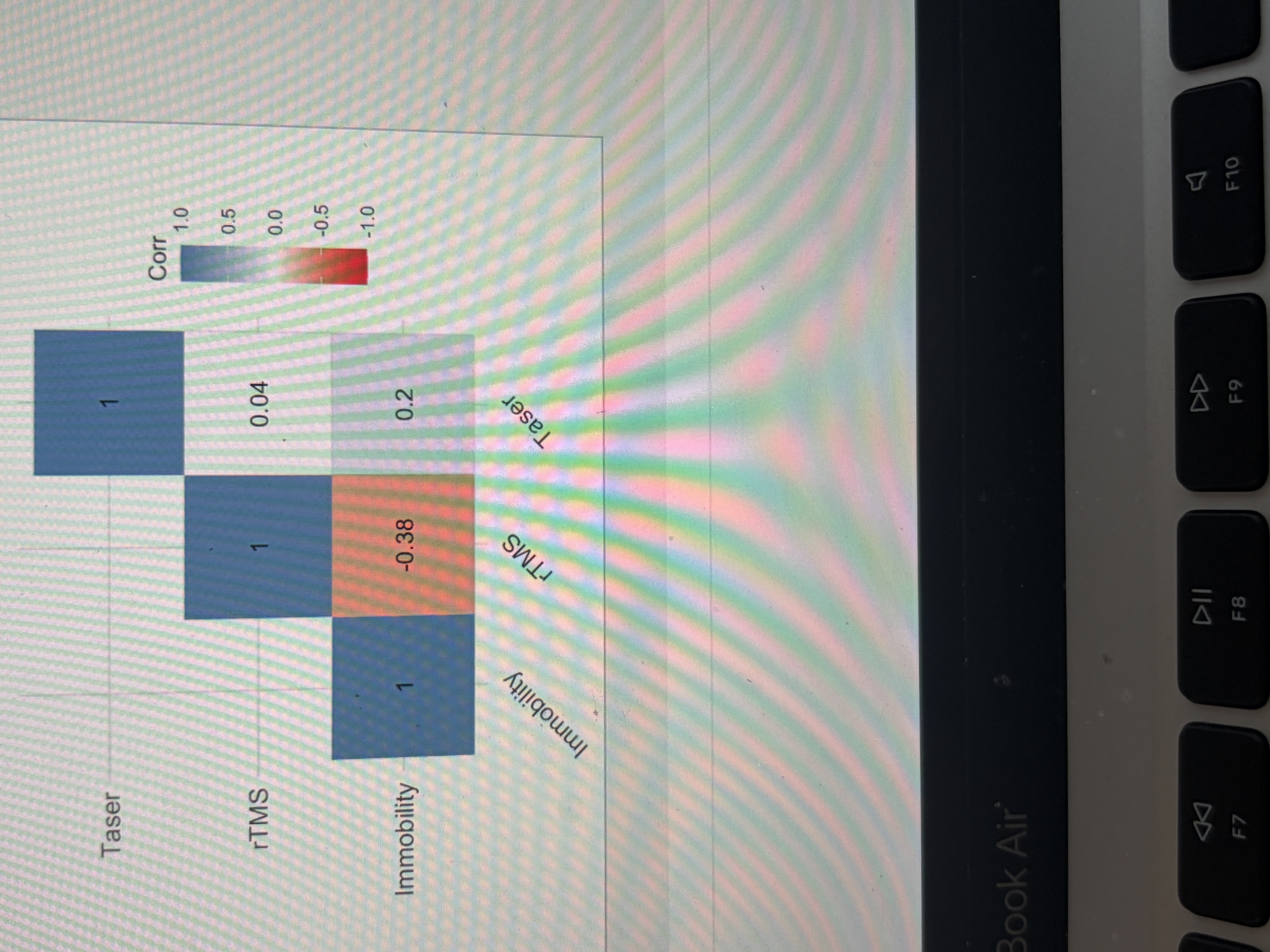 <p>Multicollinearity</p>