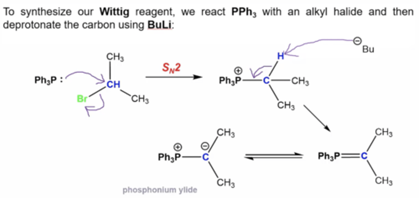 <p>1. Ph3P attacks the alkyl halide carbon, kicking off the halogen via Sn2 mechanism</p><p>2. -Bu from BuLi grabs the H from the halide carbon, deprotonating it</p>