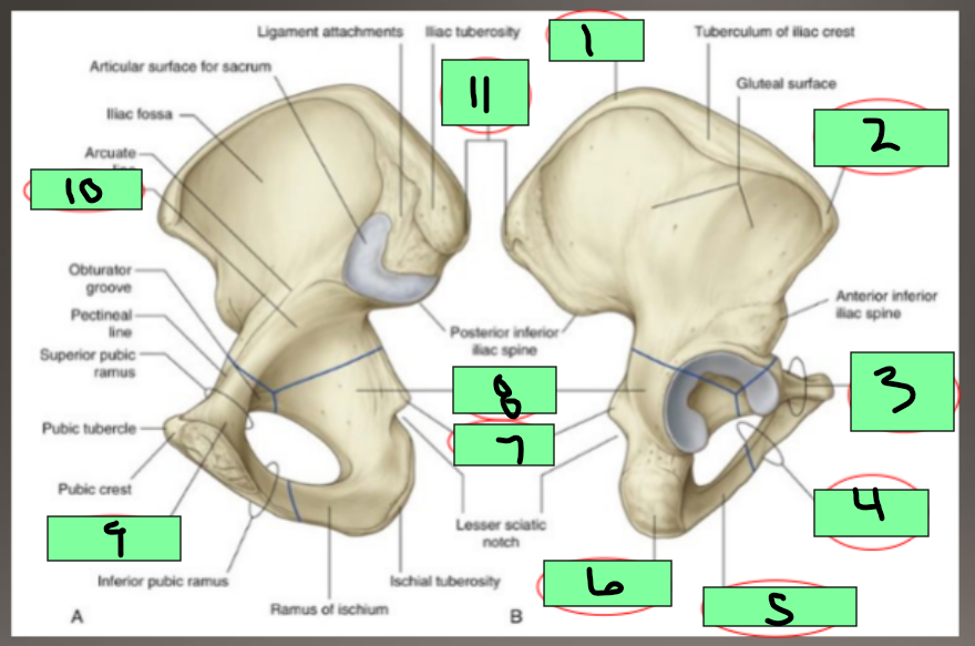 <p>9</p>