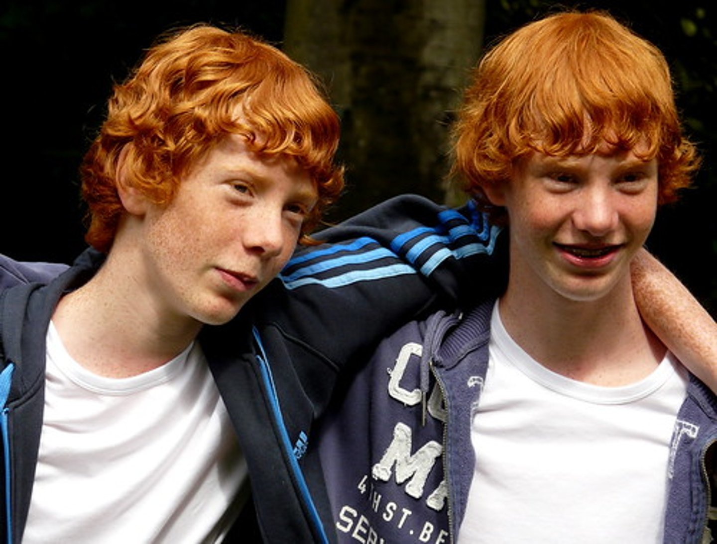 <p>twins (m)</p>