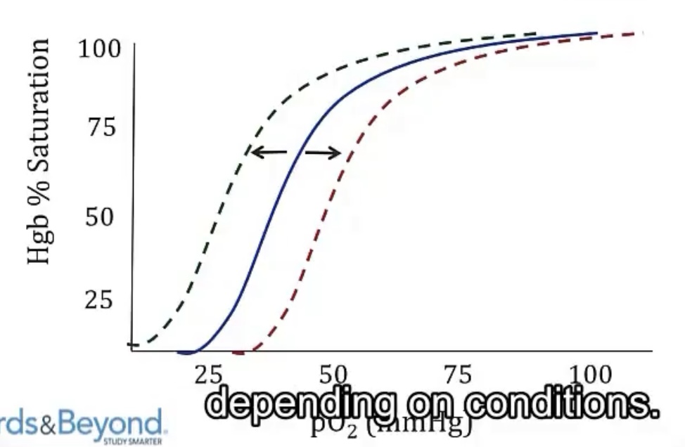 <p>-release/lower affinity of oxygen</p><p>-increased metabolic activity; CO2</p><p>-ATP; 2,3-BPG; hypoxia</p><p>-holding onto/higher affinity of oxygen</p><p>-decreased metabolic activity; CO2</p>