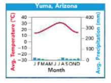 <p>Least amount of rainfall, extreme changes in temp from hot to cold. Plants store water in their tissues to prevent water loss, animals avoid heat during the day and are active at night.</p>