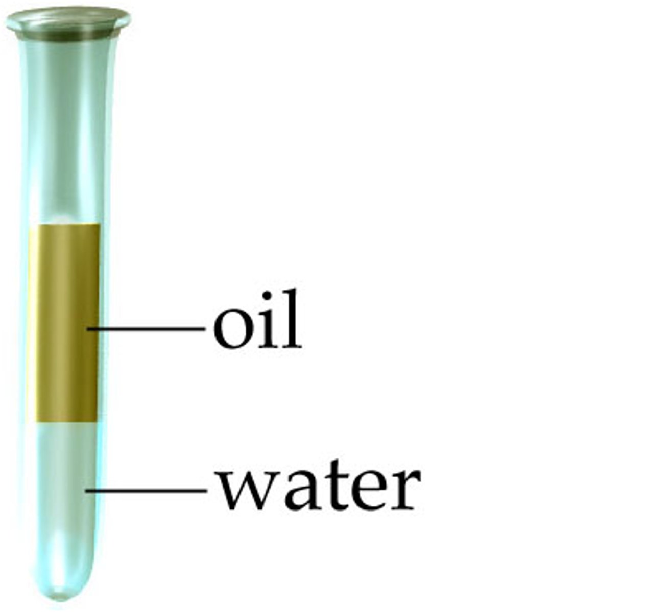 <p>water-fearing; any substance that repels water; nonpolar substances</p>