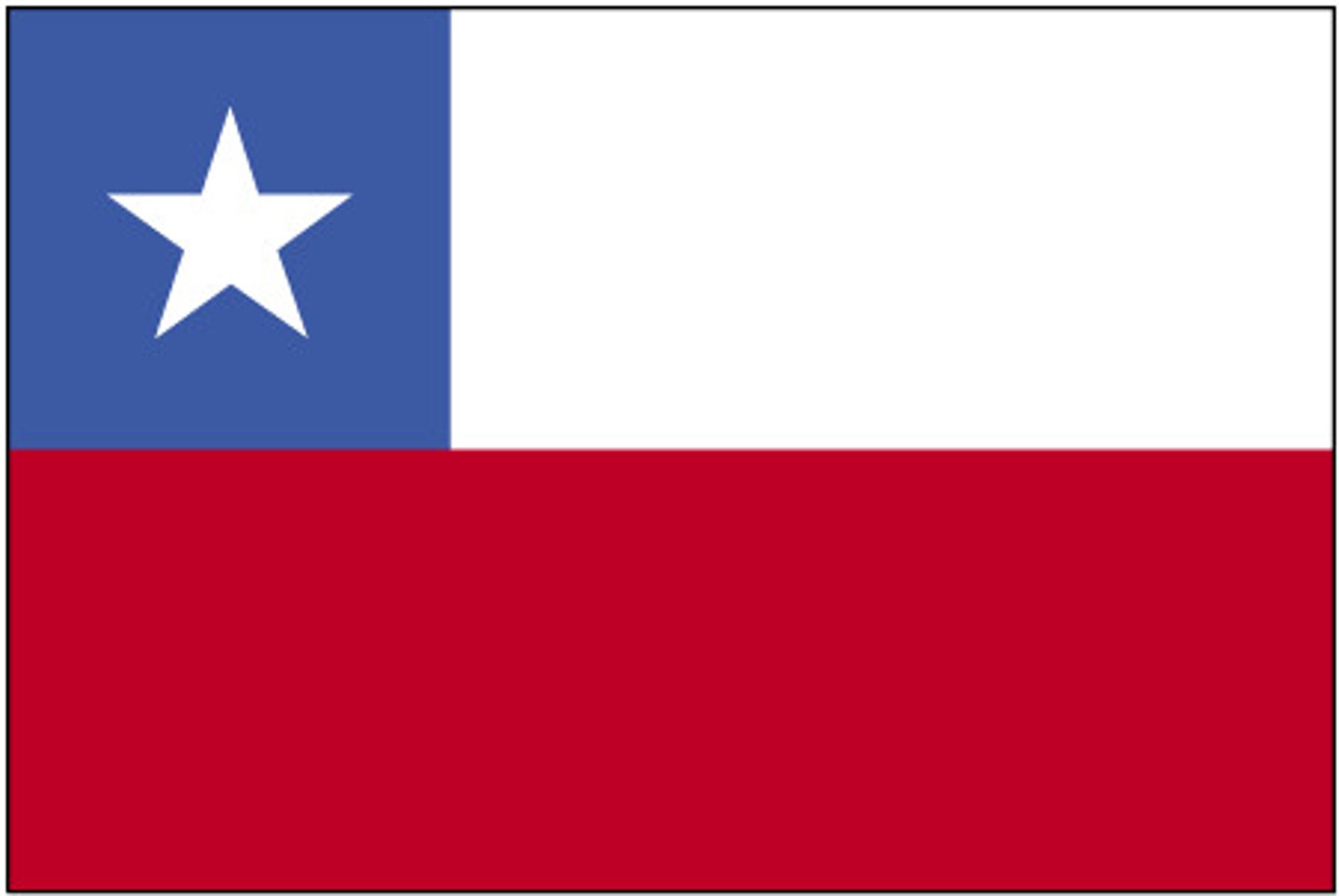 <p>Chilean</p>