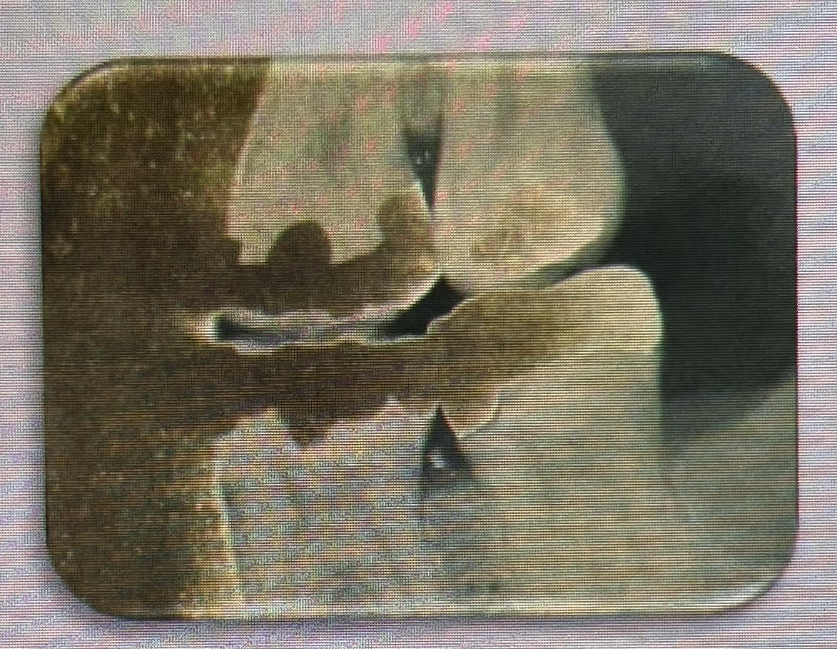 <p>THE PROCESSING ERROR DEPICTED IN THE PICTURE CAN BE DESCRIBED AS WHAT? THE CAUSE WAS DUE TO:</p>