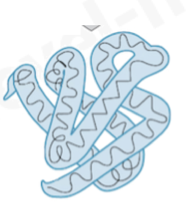 <p><strong>three-dimensional</strong> folding pattern of a protein due to <strong>side chain interactions</strong></p>