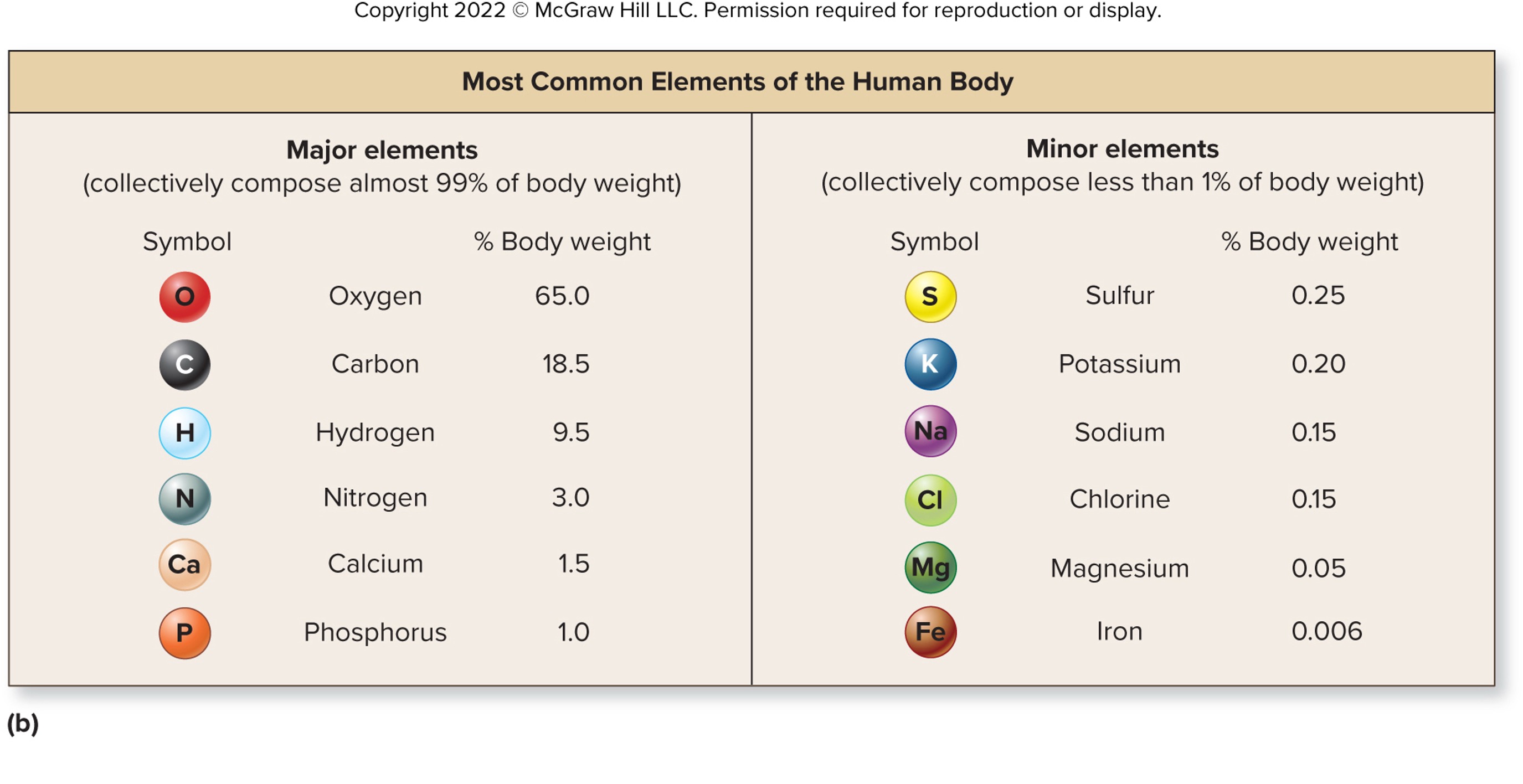 Most common elements of the human body