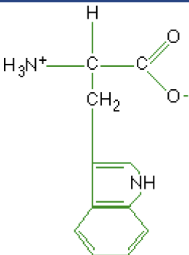 <p>What macromolecule is this?</p>