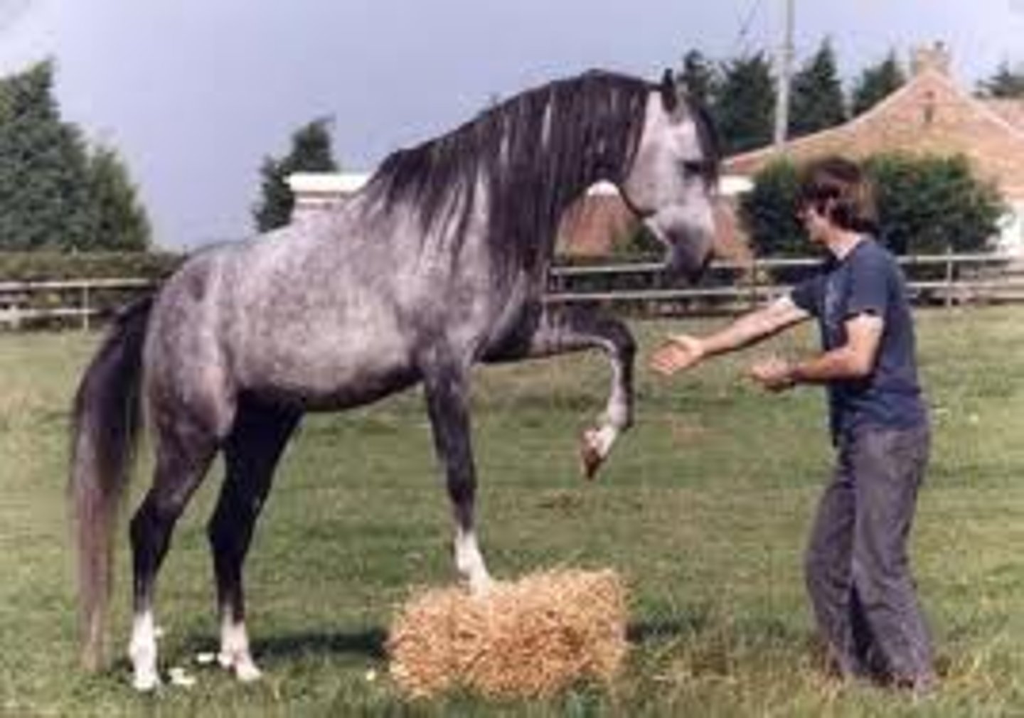 <p>easy to control or influence.</p>