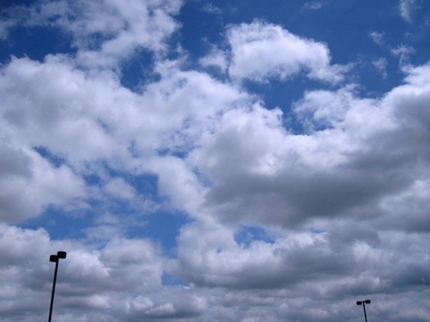 <p>fluffy and white with flat bottoms, indicate fair weather</p>