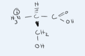 <p>What amino acid is this?</p>