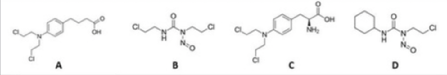 <p>Which are the bis-betahaloalkylamines?</p>