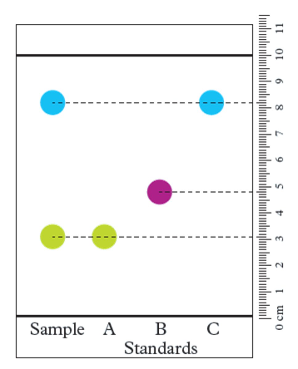 <p>the pattern of bands, spots or peaks formed on the chromatograph paper or TLC plate, demonstrating the separation of a mixture</p>