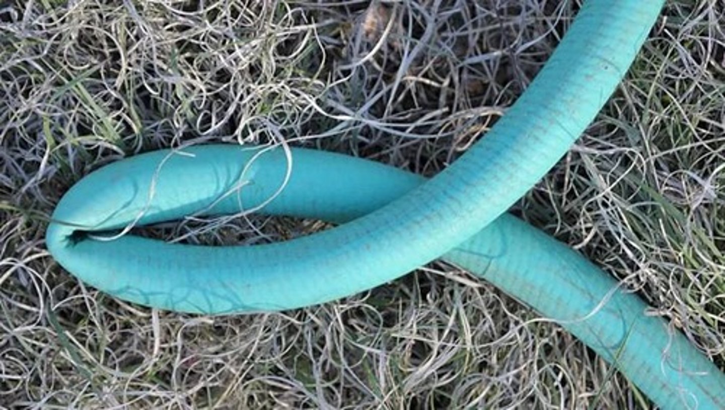 <p>Blood Supply Restricted -> Ischemia (oxygen reduced) -> necrosis (tissue death)</p><p>** Like pinching a garden hose, the nutrients cannot get to the skin from having weight constantly on a bony part of body without padding. The open wound causes bacteria to get in.</p>