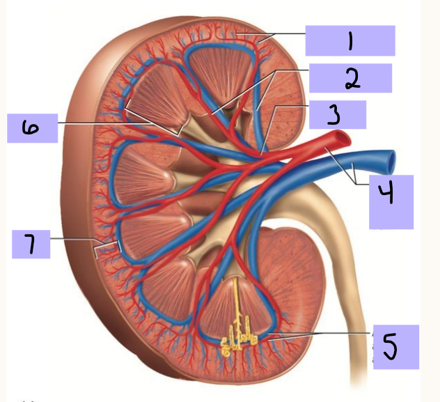 <p>#3</p>