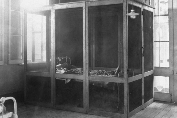 <p>Portable Fever Cage from Panama Canal Construction Zone</p>