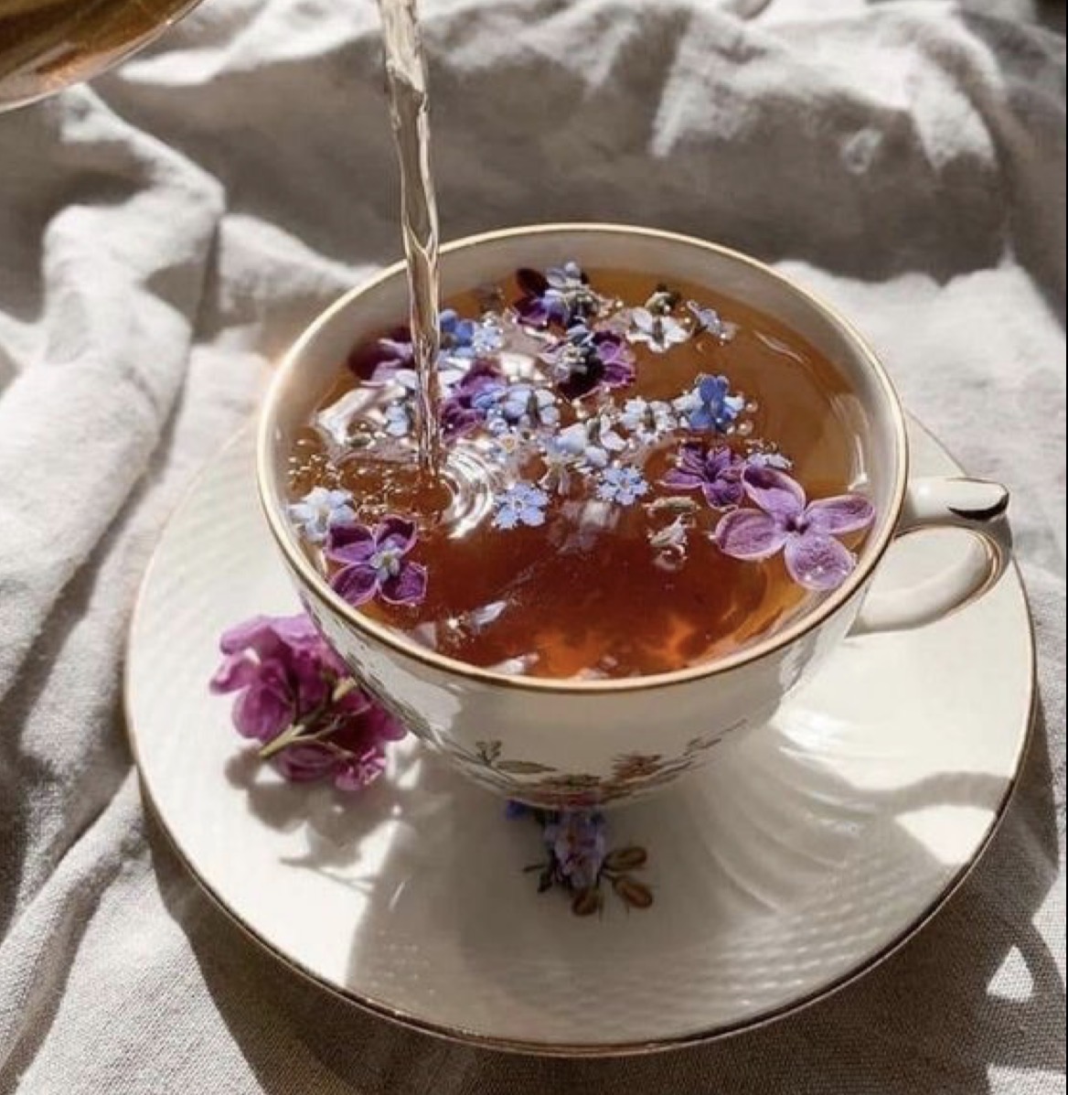 <p>der Tee, die Tees</p>