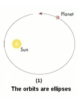 <p>Describes the motion of planets in their orbits around the sun, stating that planets move in elliptical paths with the sun at one focus, and the line connecting a planet to the sun sweeps out equal areas in equal times. </p>