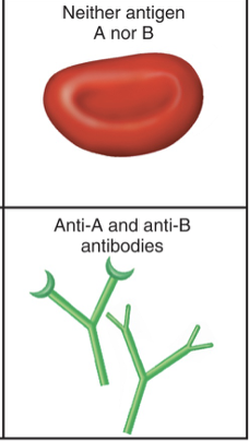 <p>What is this?</p>
