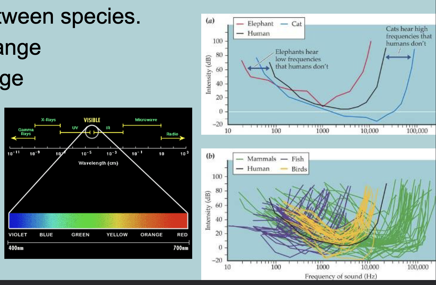 <p>Ranges of detection is limited</p><ul><li><p>For each sense there is a limited range of INTENSITIES to which we are sensitive to&nbsp;</p></li><li><p>Differs between species&nbsp;</p></li><li><p>HEARING range&nbsp;</p></li><li><p>VISUAL range&nbsp;</p></li></ul><p></p>