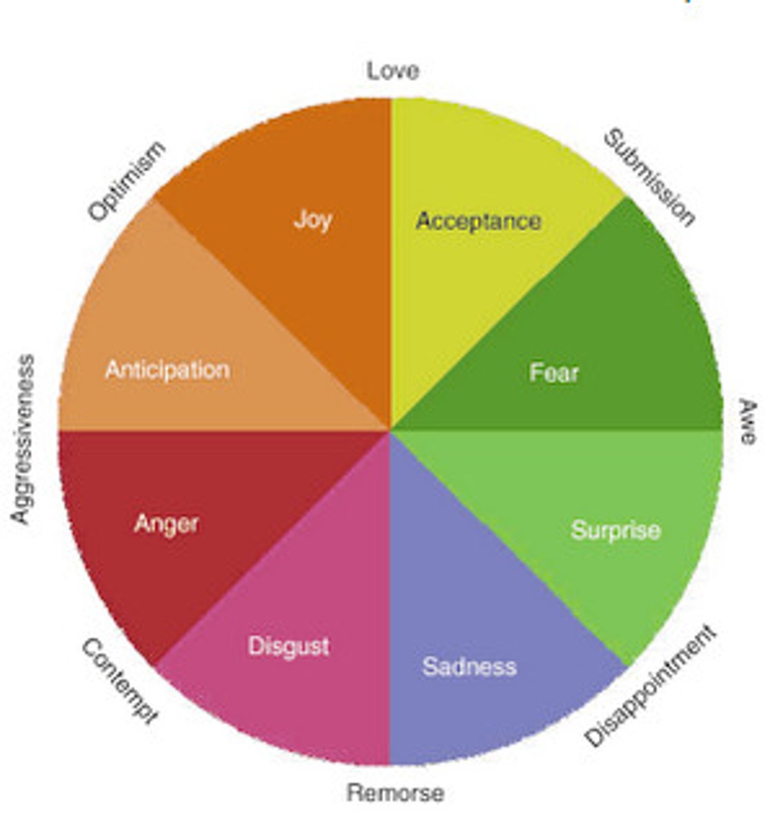 <p>1980; 8 basic emotions-fear, surprise, sadness, disgust, anger, anticipation, joy, & acceptance; helps adjust to demands of environment; model illustrates how emotions are more alike to those situated near it than those farther away (circle)_; varies with intensity</p>