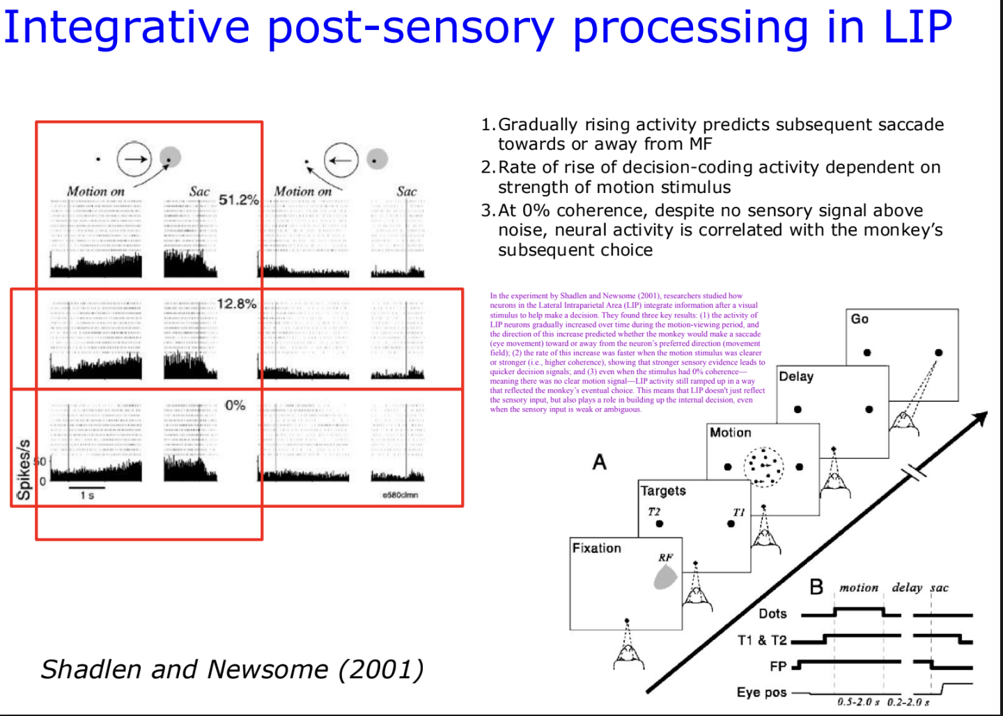 <ul><li><p class=""><strong>Gradual rise</strong> in LIP activity predicted saccadic choice.</p></li><li><p class=""><strong>Rate of rise</strong> depended on <strong>motion coherence</strong>.</p></li><li><p class="">At <strong>0% coherence</strong>, activity still reflected the <strong>upcoming decision</strong>.</p></li><li><p class="">Confirmed LIP as a site of <strong>evidence accumulation</strong>, not just sensory reflection.</p></li></ul><p></p>