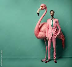 <p>flamingo</p>