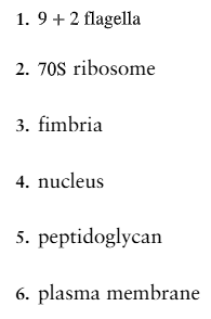 <p>Which is (are) found <em>only</em> in prokaryotes?</p><ol><li><p>1,4,6</p></li><li><p>3,5</p></li><li><p>1,2</p></li><li><p>4</p></li><li><p>2,4,5</p></li></ol><p></p>