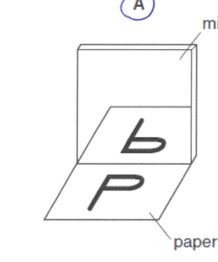<p>Images in a plane mirror are:</p><p><strong>Virtual -</strong> can’t be touched</p><p><strong>Upright - </strong>not upside down</p><p><strong>Same size as object </strong></p><p><strong>Laterally inverted - </strong>Left and right is switched</p><p><strong>Same distance from the mirror to object</strong></p>