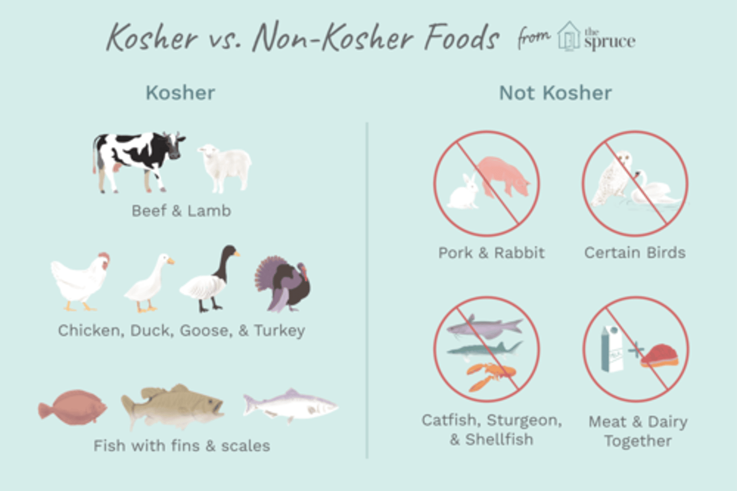 <p>A set of dietary and food preparation restrictions that govern the foods Jewish people can and cannot eat.</p><p>-permitted (kosher)- ritually slaughtered beef, sheep, goat and deer, jewish wine or grape juice, soft and kosher cheese</p><p>-forbidden (trayt)- pork, camel, rodents, repitle, meet and dairy together</p><p>-reform do not follow, conservative follow, orthodox follows strictly</p>
