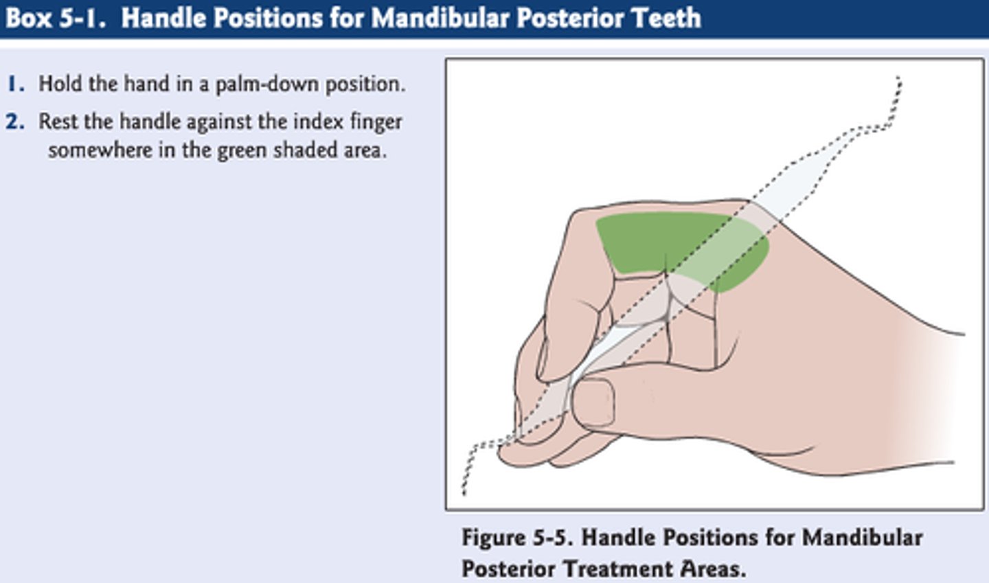 <p>- Hand in PALM-DOWN position</p><p>- Handle rests against index finger in green shaded area</p>