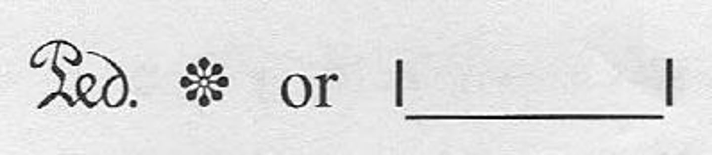 <p>press the pedal located on the right</p>
