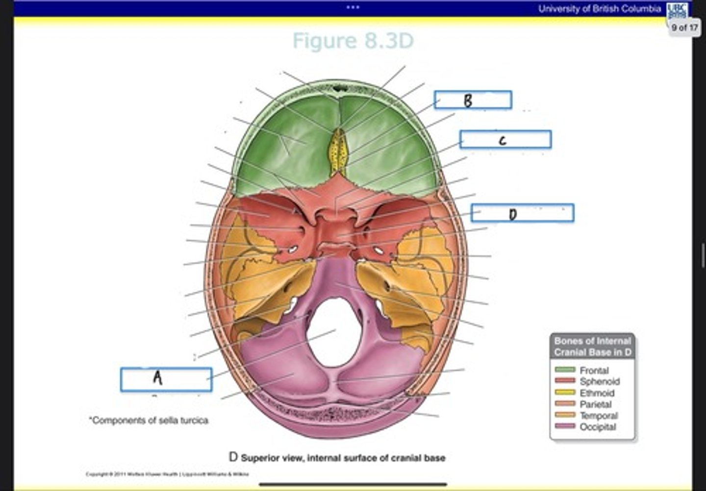 <p>What is D?</p>