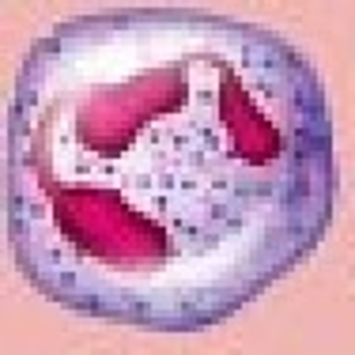 <p>neutrophil</p>
