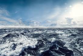 <p>Ocean</p>