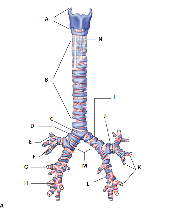 <p>label e, f, g, &amp; h</p>