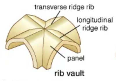 rib vaults were frequently used in gothic cathedrals