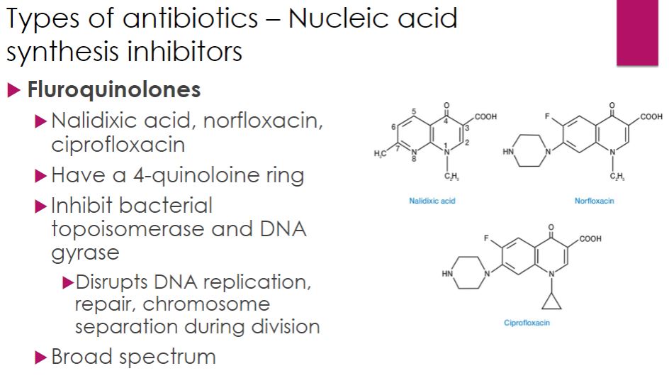 <p>Nucleic Acid: fluoroquinolones</p>