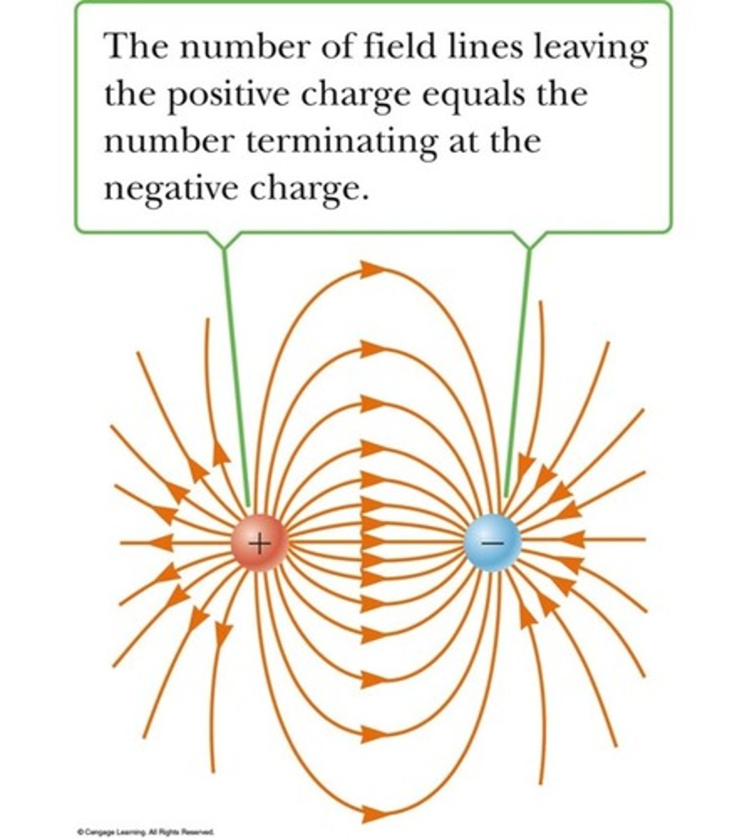 <p>At every point in space, the electric field vector at that point is tangent to the electric field line through that point.</p><p>Electric field lines can never intersect.</p><p>Electric field lines point away from positive charges and toward negative charges.</p>