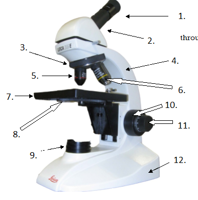 <p>Eyepiece or Ocular</p><p>2. Body Tube</p><p>3. Nosepiece</p><p>4. Arm</p><p>5. Low power objective</p><p>6. High power objective</p><p>7. Stage</p><p>8. Diaphragm</p><p>9. Light Source</p><p>10. Coarse Adjustment</p><p>11. Fine Adjustment</p><p>12. Base</p>