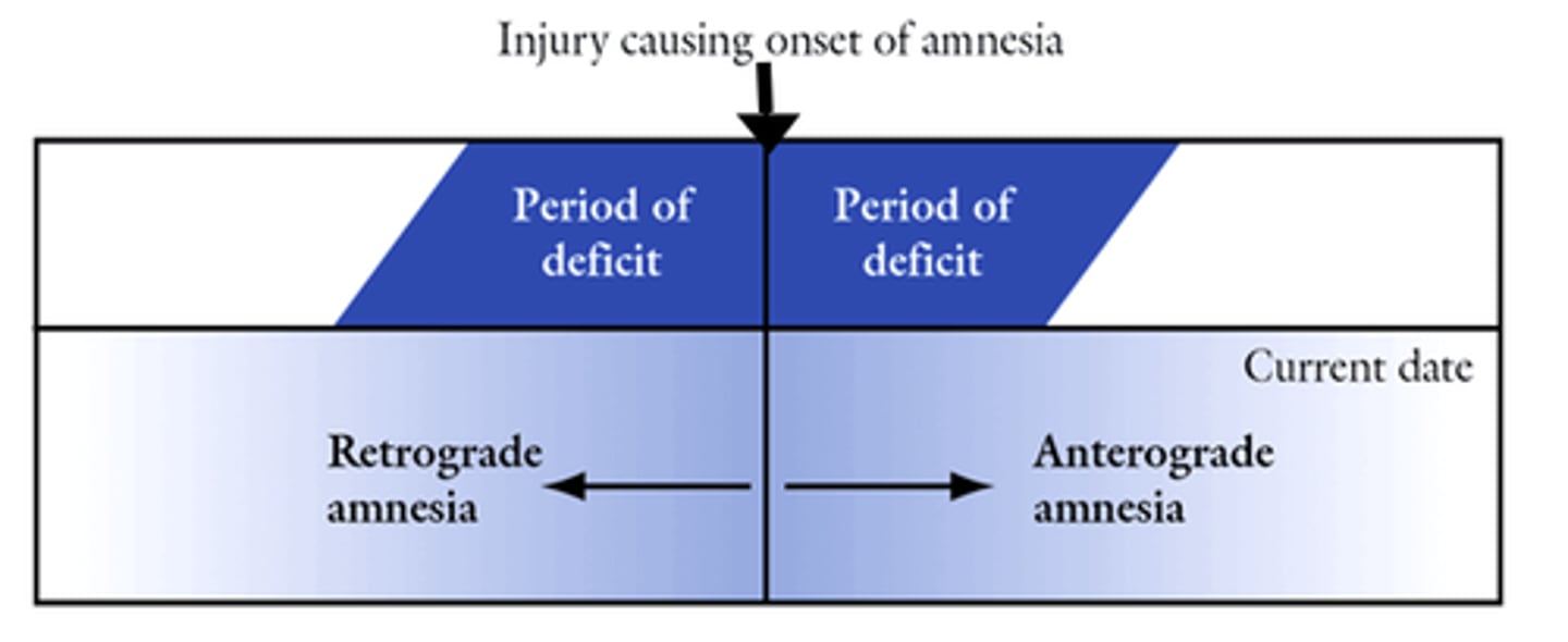 <p>an inability to retrieve information from one's past</p>
