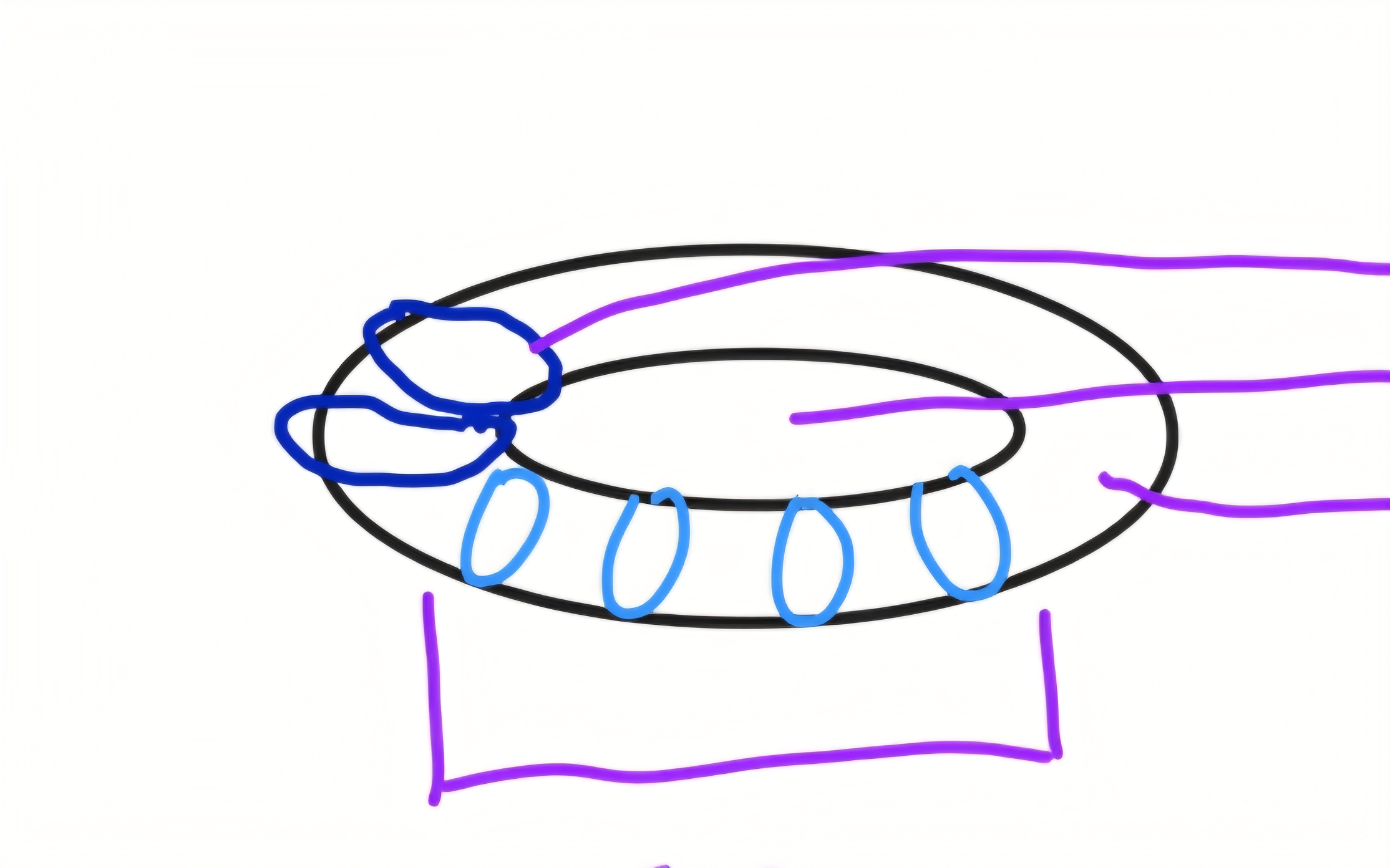 <p>label thylakoid</p>