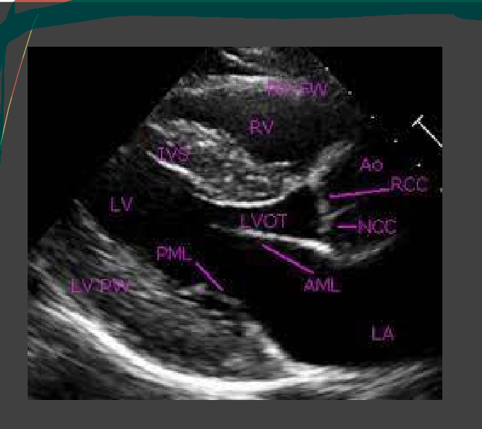 <p>What is this view</p>