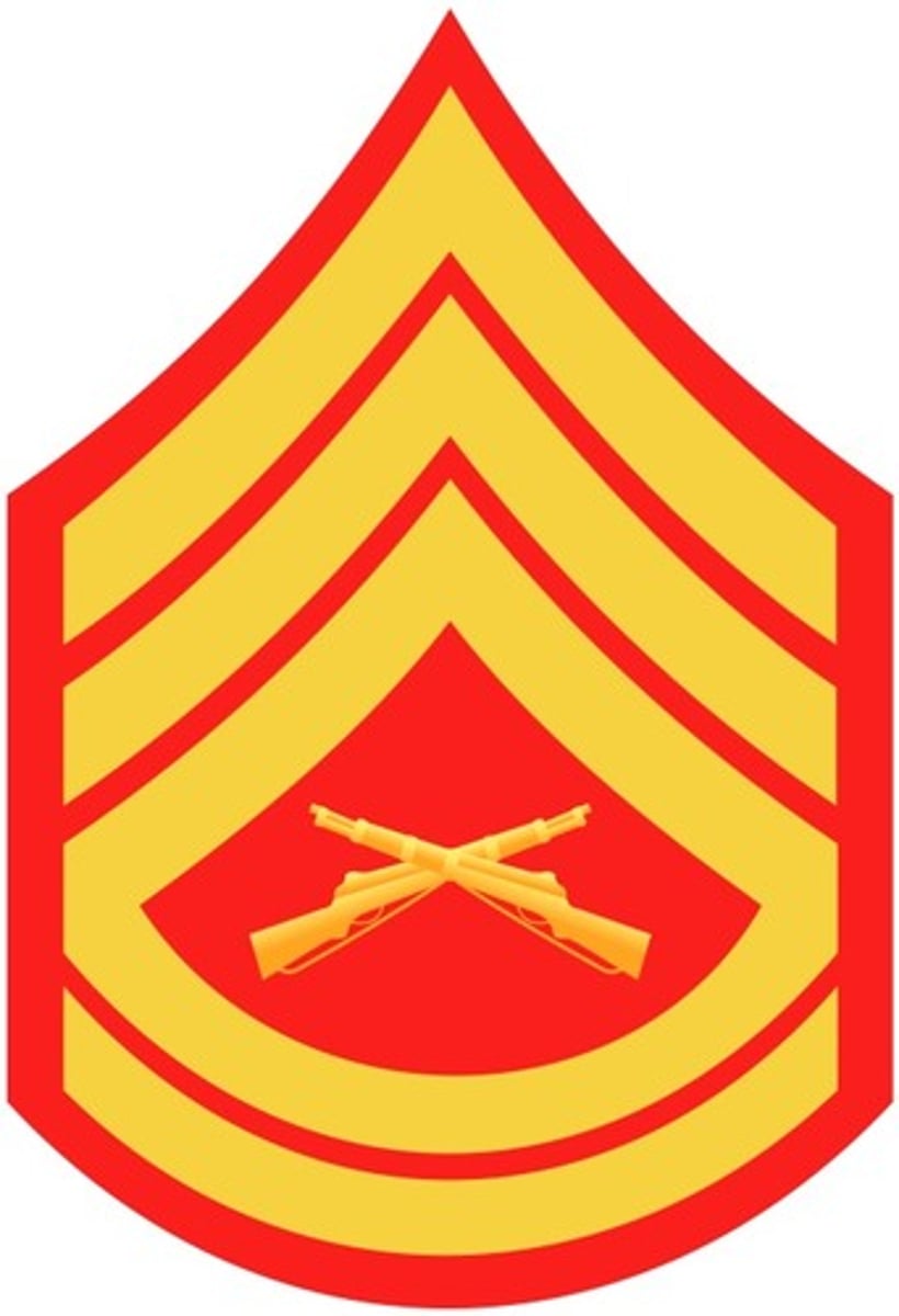 <p> 3 Chevrons with 2 rockers and crossed rifles in the center.</p>