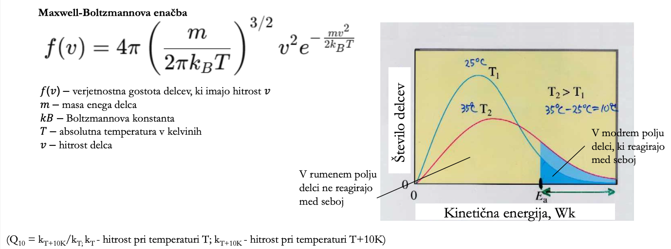 <ul><li><p>Q<sub>10</sub> (temperaturni kvocient) - za kolikokrat se hitrost biokem. reakcije spremeni, če se T poveča za 10 ºC</p><ul><li><p>za biološke procese okoli 2</p></li><li><p>majhen, če vemo, da je W<sub>k(molekul)</sub> = m <strong><sup>.</sup></strong> v<sup>2</sup> / 2  linearno proporcionalna T (k<sub>B</sub>T)</p></li><li><p>porazdelitev molekul po E sledi Maxwell-Boltzmannovi enačbi</p></li><li><p>za uspešnost reakcije potrebna dovolj velika E<sub>a</sub></p></li><li><p>višja T → večja površina pod grafom → večja verjetnost, da reakcija poteče</p></li></ul></li></ul><p></p>