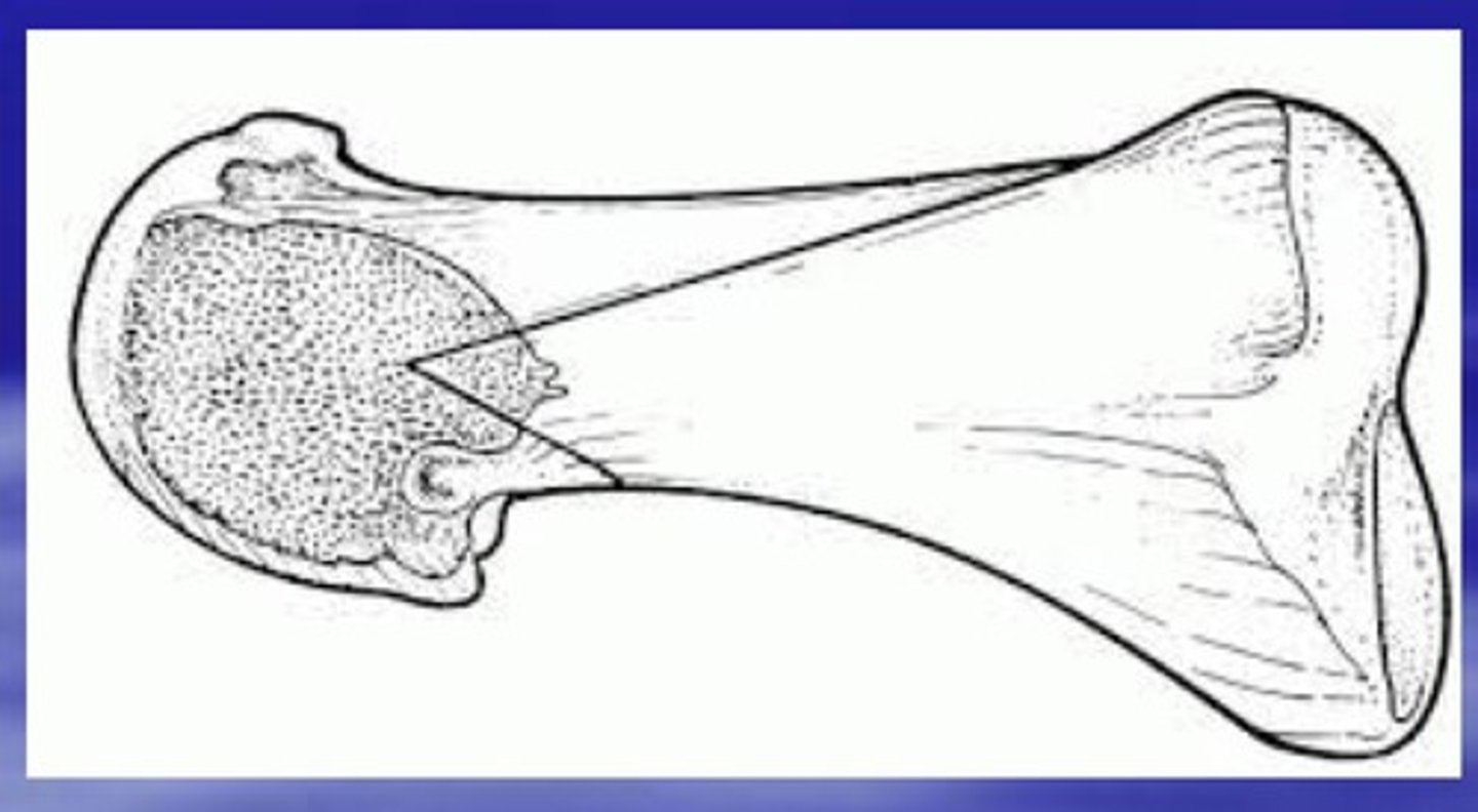 <p>bù đắp, đền bù</p><p>ex: this boost will offset the reduction in growth</p>