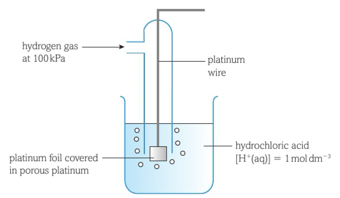 <ul><li><p><span>Platinum (unreactive) electrode coated with platinum black (inert, conducts electrons)</span></p></li><li><p><span>platinum foil on the bottom, covered in porous platinum (for a large surface area)</span></p></li><li><p><span>equilibrium between H+ ions and H gas</span></p></li></ul><p></p>